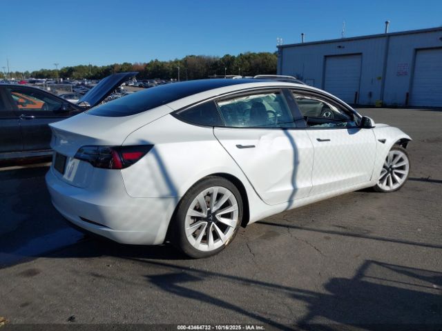 2023 TESLA MODEL 3 5YJ3E1EA7PF430111 Photo 3