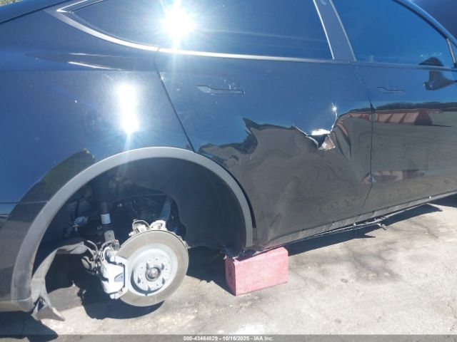 2025 TESLA MODEL Y 7SAYGDED5SF248415 Photo 5