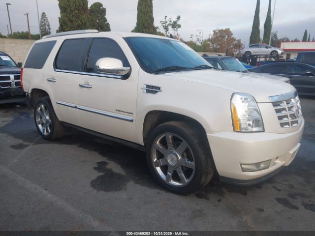 2011 CADILLAC ESCALADE 1GYS4CEF7BR134346