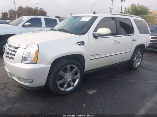 2011 CADILLAC ESCALADE 1GYS4CEF7BR134346 Photo 1