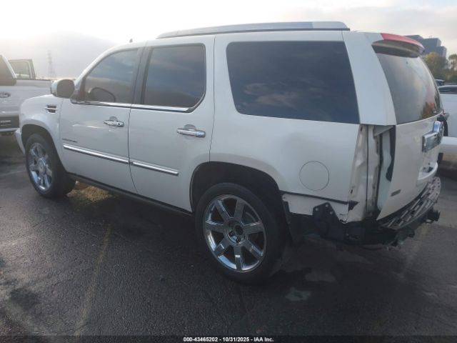 2011 CADILLAC ESCALADE 1GYS4CEF7BR134346 Photo 2