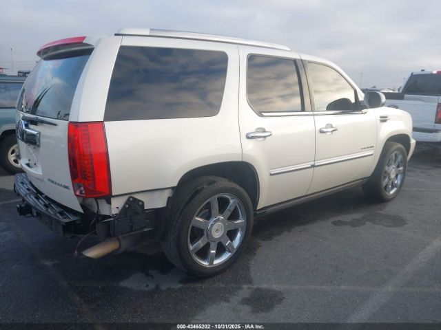 2011 CADILLAC ESCALADE 1GYS4CEF7BR134346 Photo 3