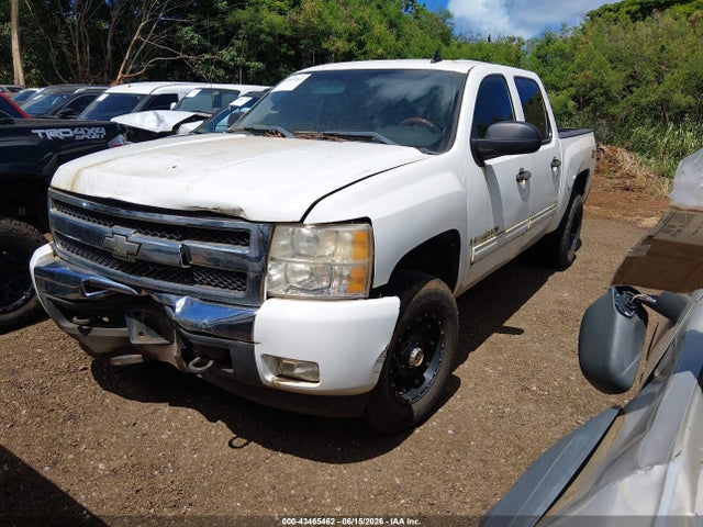 2009 Chevrolet Silverado 1500 Lt მანქანა იყიდება აუქციონზე, vin: 3GCEK23M49G177881, აუქციონის ნომერი: 43465462