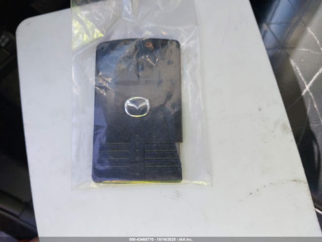 2007 MAZDA CX-9 JM3TB28C970114405 Photo 10