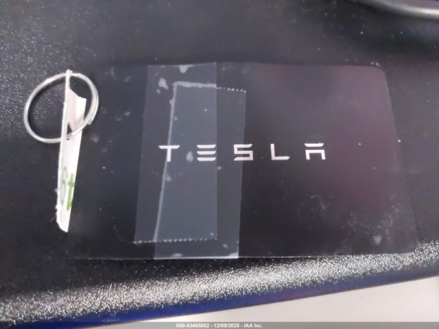 2021 TESLA MODEL 3 5YJ3E1EA0MF067081 Photo 10