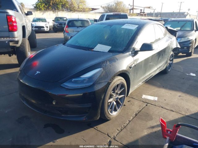 2021 TESLA MODEL 3 5YJ3E1EA0MF067081 Photo 1
