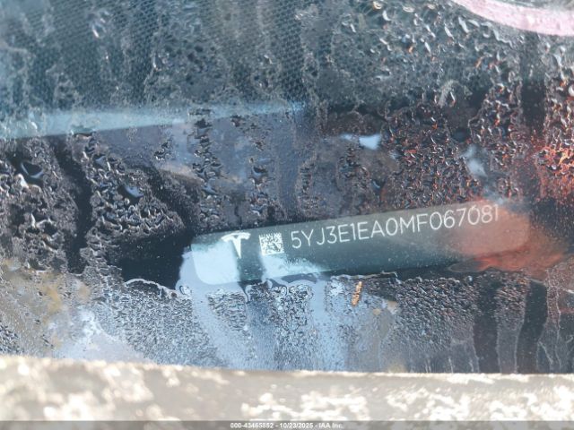 2021 TESLA MODEL 3 5YJ3E1EA0MF067081 Photo 8