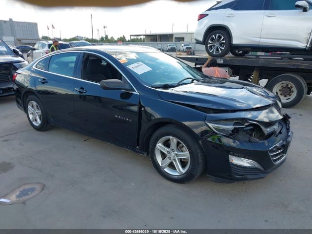 2019 CHEVROLET MALIBU 1G1ZB5ST9KF225032