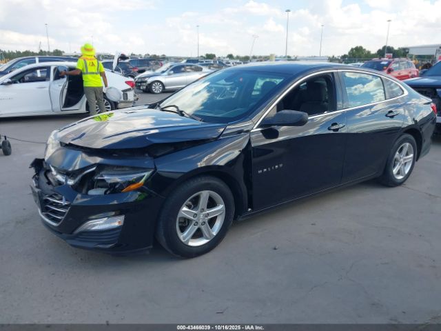 2019 CHEVROLET MALIBU 1G1ZB5ST9KF225032 Photo 1