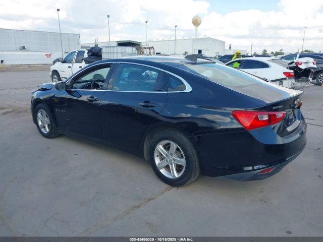 2019 CHEVROLET MALIBU 1G1ZB5ST9KF225032 Photo 2