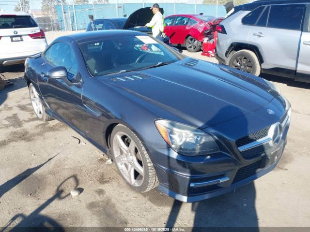2014 MERCEDES-BENZ SLK 250 WDDPK4HA7EF091601