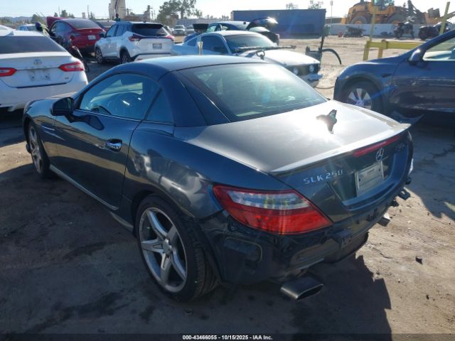 2014 MERCEDES-BENZ SLK 250 WDDPK4HA7EF091601 Photo 2
