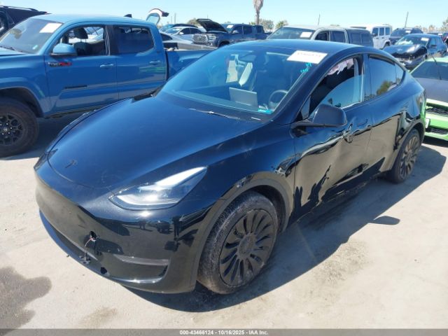 2024 TESLA MODEL Y 7SAYGAEE0RF010165 Photo 1