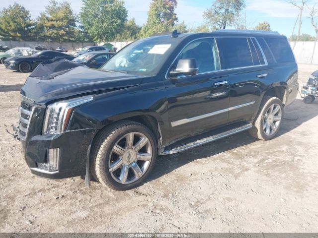 2019 CADILLAC ESCALADE 1GYS4BKJXKR363218 Photo 1