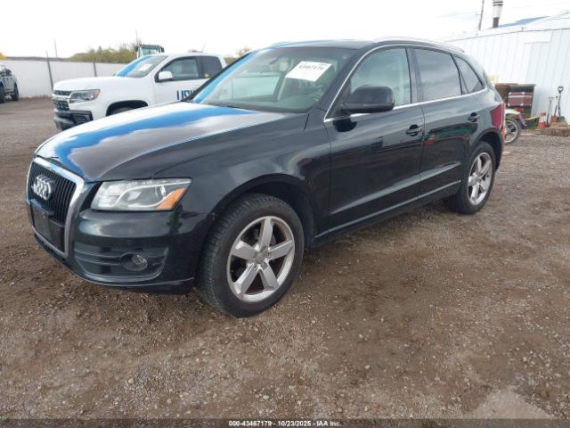 2010 AUDI Q5 WA1LKAFP9AA013742 Photo 1