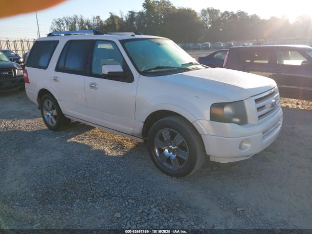 2010 FORD EXPEDITION 1FMJU1K58AEB51658