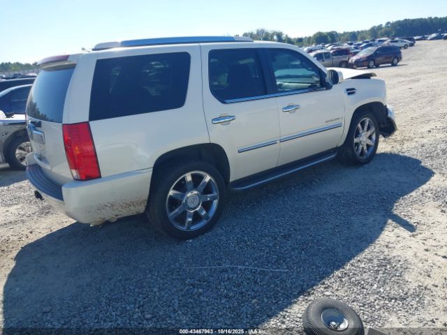 2007 CADILLAC ESCALADE 1GYEC63897R321083 Photo 3