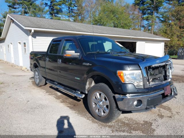2013 FORD F-150 1FTFW1ET8DFA59690