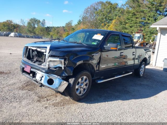 2013 FORD F-150 1FTFW1ET8DFA59690 Photo 1