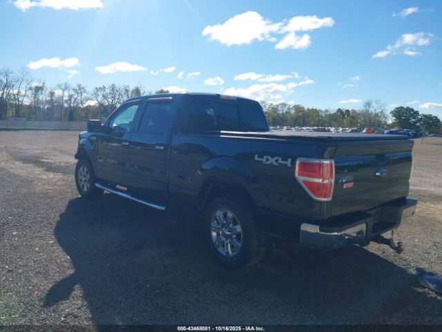 2013 FORD F-150 1FTFW1ET8DFA59690 Photo 2