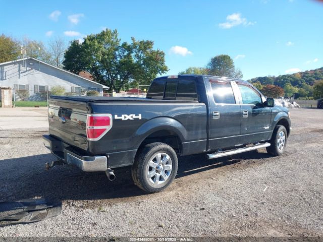 2013 FORD F-150 1FTFW1ET8DFA59690 Photo 3