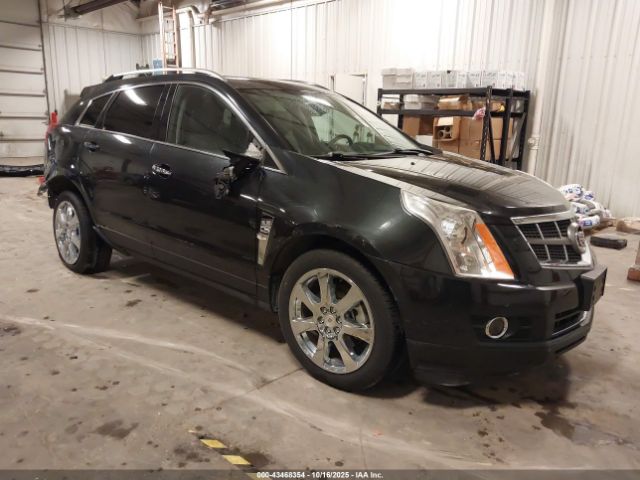 2011 CADILLAC SRX 3GYFNEEY7BS585575 Photo 0
