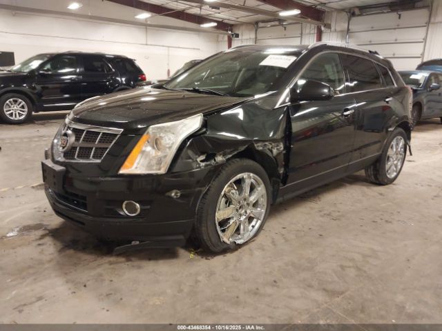 2011 CADILLAC SRX 3GYFNEEY7BS585575 Photo 1