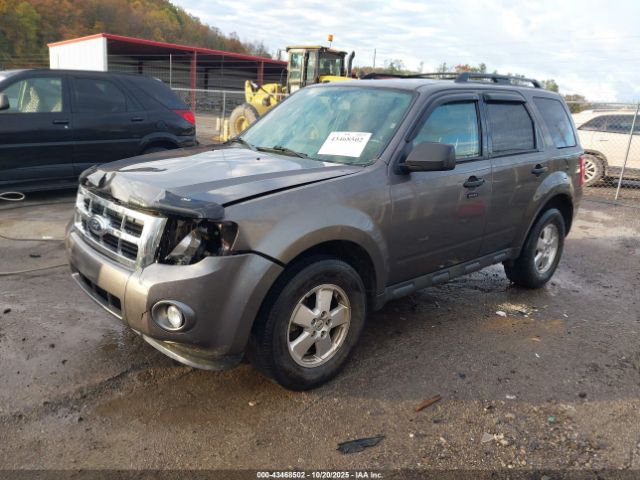 2012 FORD ESCAPE 1FMCU0DG8CKC62474 Photo 1
