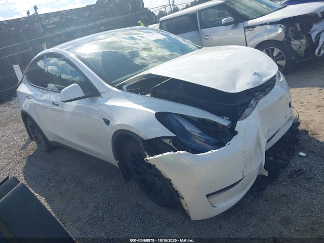 2024 TESLA MODEL Y 7SAYGDEE0RA261427 Photo 0