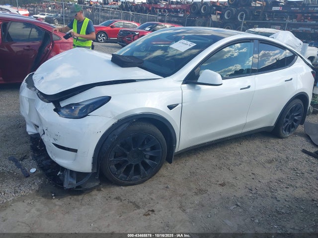 2024 TESLA MODEL Y 7SAYGDEE0RA261427 Photo 1