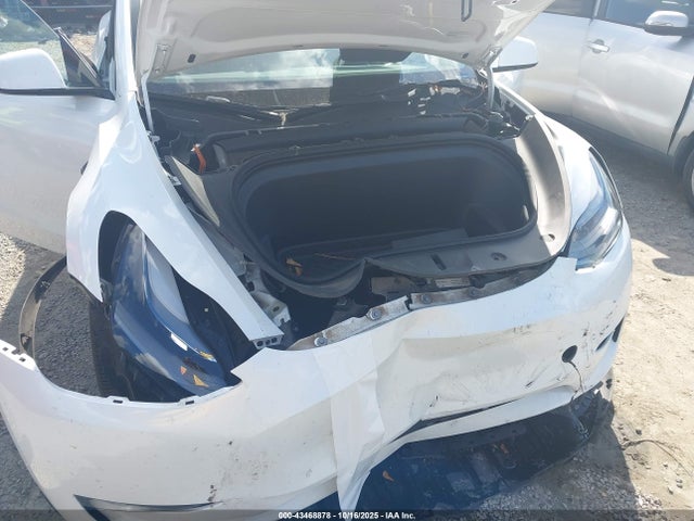 2024 TESLA MODEL Y 7SAYGDEE0RA261427 Photo 5