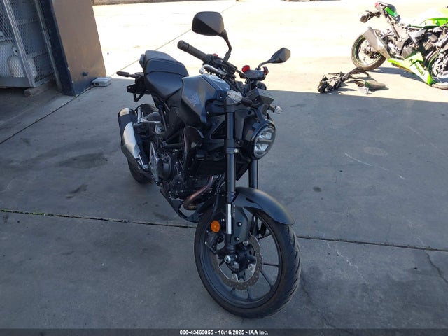 Honda CBF300 NA 2025 MLHNC5551S5500248 zdjęcie główne