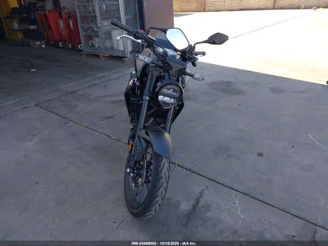 Honda CBF300 NA 2025 MLHNC5551S5500248 Image 5