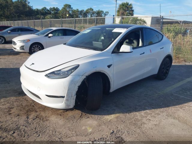 2021 TESLA MODEL Y 5YJYGDEE6MF115400 Photo 1