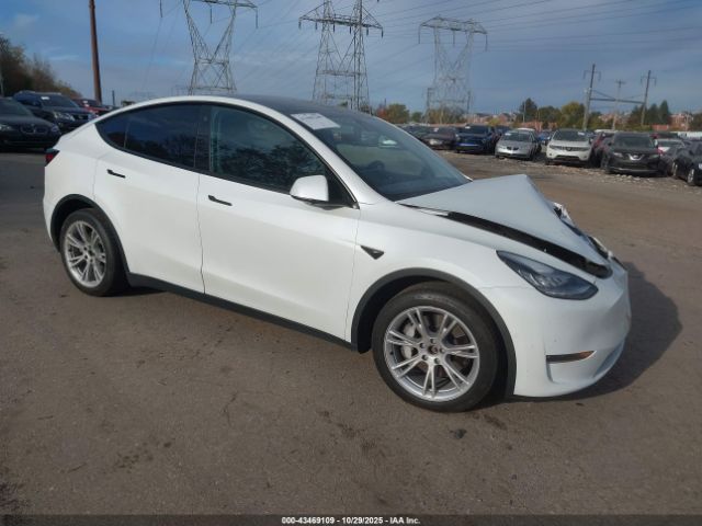 2021 TESLA MODEL Y 5YJYGDEE0MF072463 Photo 0