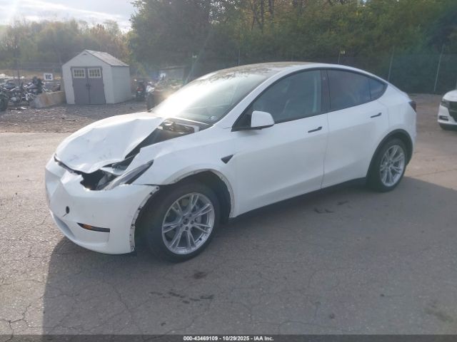 2021 TESLA MODEL Y 5YJYGDEE0MF072463 Photo 1