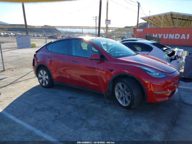 2021 TESLA MODEL Y 5YJYGDEE8MF203817 Photo 0