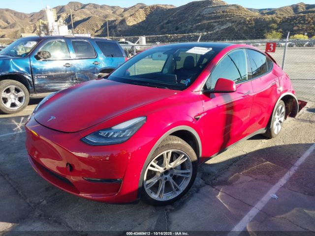 2021 TESLA MODEL Y 5YJYGDEE8MF203817 Photo 1