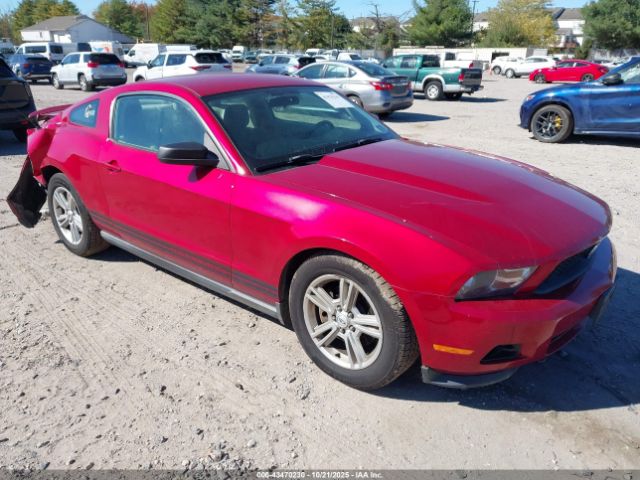 2011 FORD MUSTANG 1ZVBP8AM4B5114039