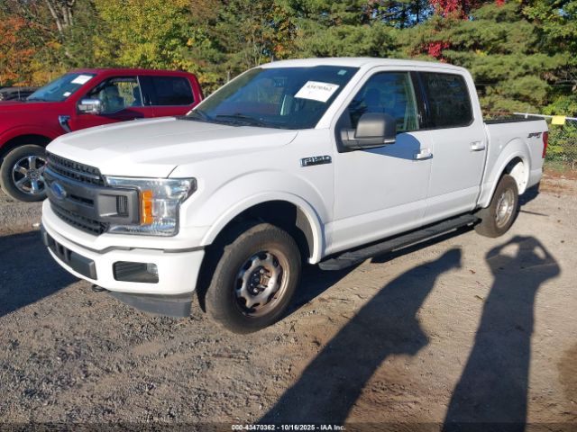 2020 FORD F-150 1FTEW1EP0LKF53062 Photo 1