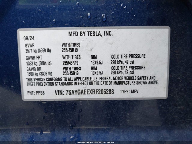 2024 TESLA MODEL Y 7SAYGAEEXRF206288 Photo 8
