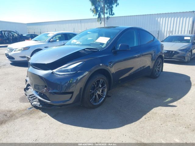 2025 TESLA MODEL Y 7SAYGDED9SF215904 Photo 1
