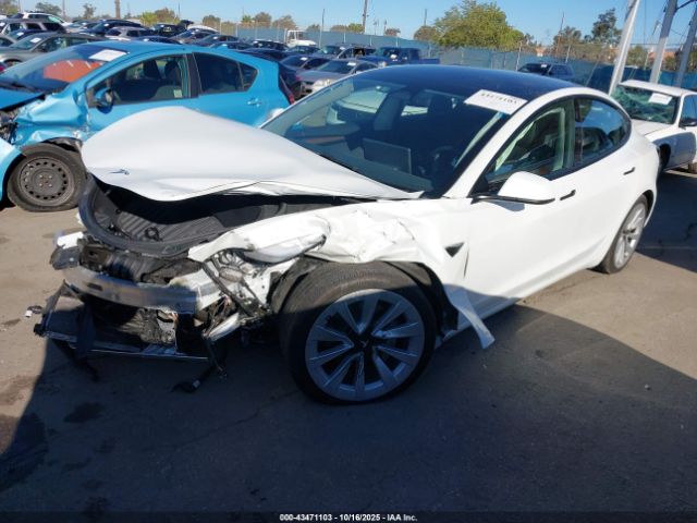 2023 TESLA MODEL 3 5YJ3E1EA8PF425466 Photo 1