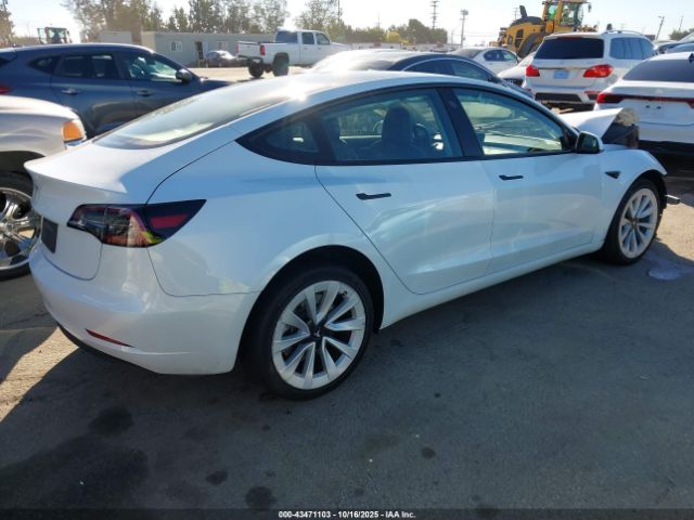 2023 TESLA MODEL 3 5YJ3E1EA8PF425466 Photo 3