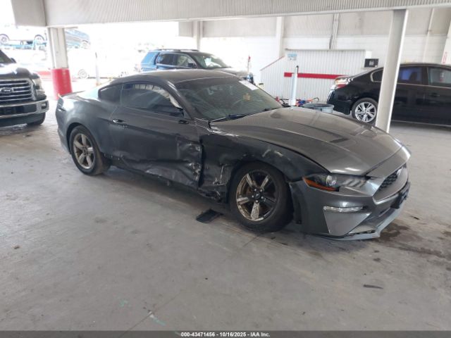 2019 FORD MUSTANG 1FA6P8TH8K5118198