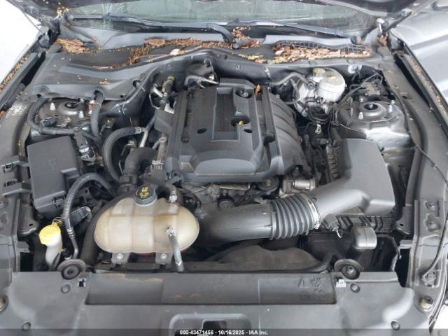 2019 FORD MUSTANG 1FA6P8TH8K5118198 Photo 9