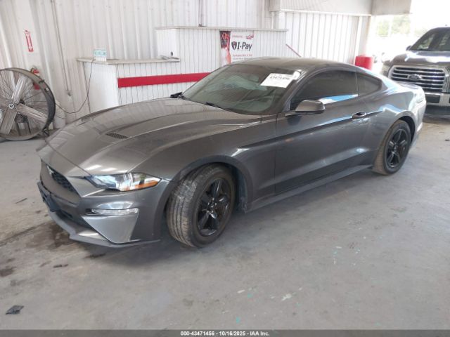 2019 FORD MUSTANG 1FA6P8TH8K5118198 Photo 1