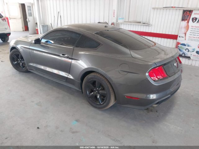 2019 FORD MUSTANG 1FA6P8TH8K5118198 Photo 2