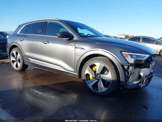 2019 AUDI E-TRON WA1VAAGE1KB008281 Photo 0