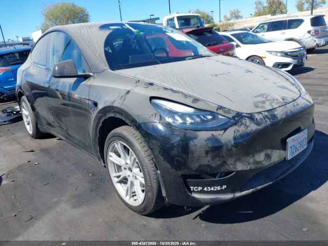 2023 TESLA MODEL Y 7SAYGDEE4PA137965 Photo 0